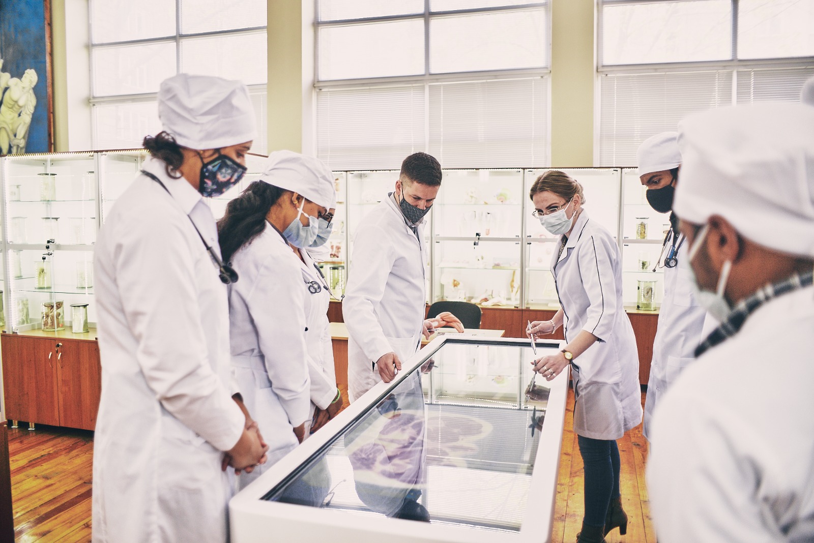 Anatomy lab practical session